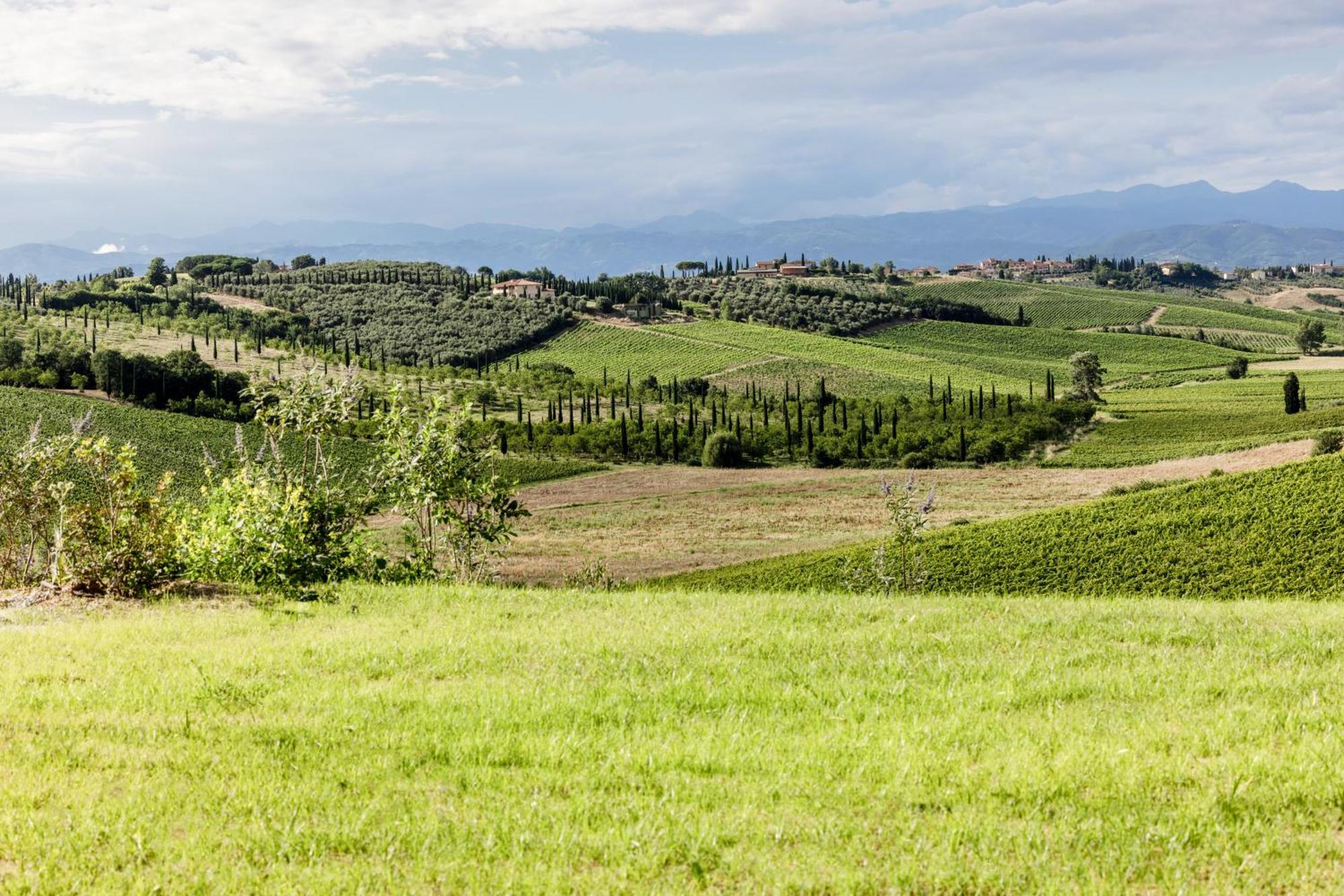 Colle Alberti Country House Cerreto Guidi Dış mekan fotoğraf